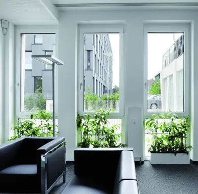 Más Ideas e Inspiración - 2