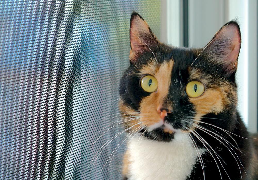 Москитные сетки