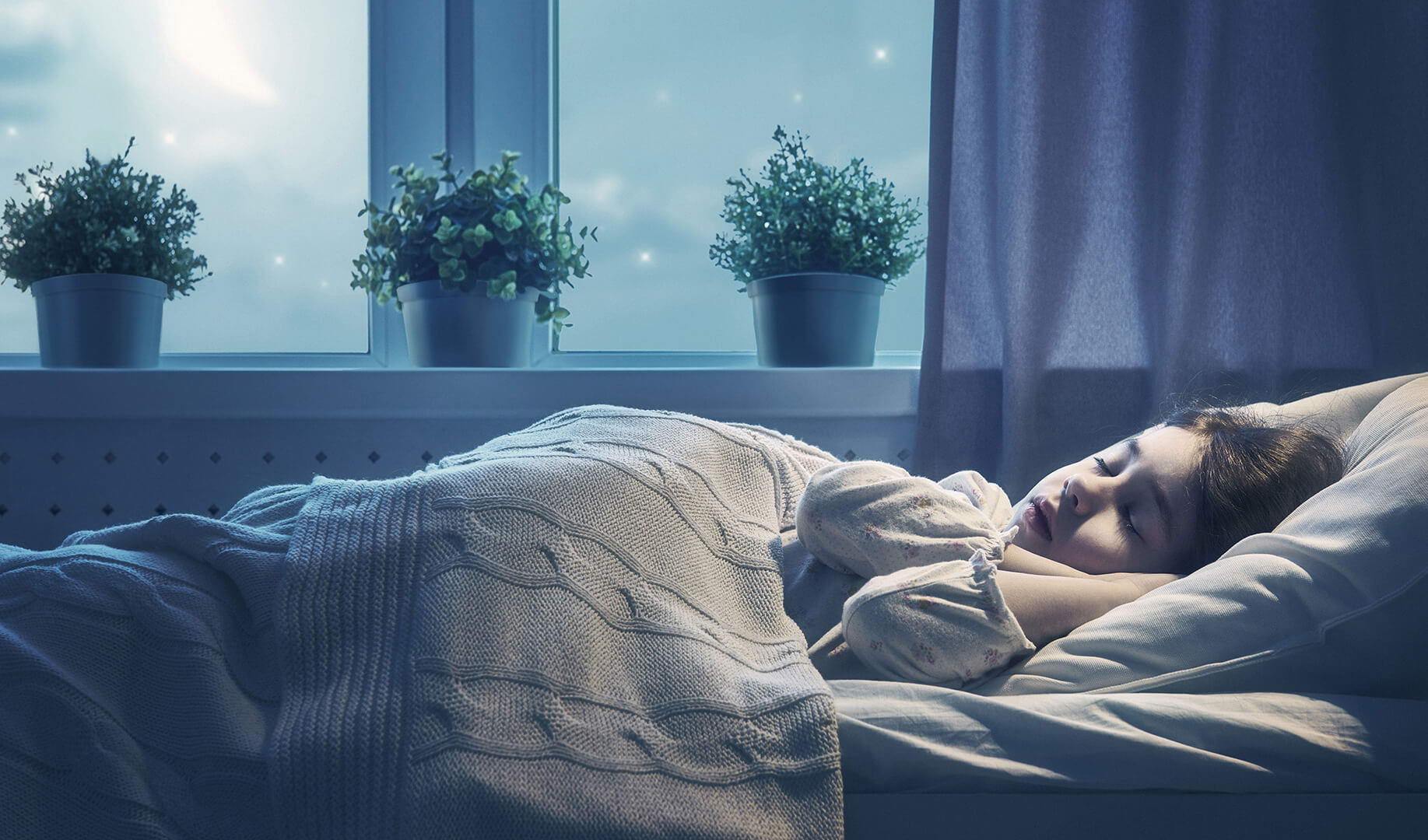 Aislamiento acústico de ventana WDS 8S